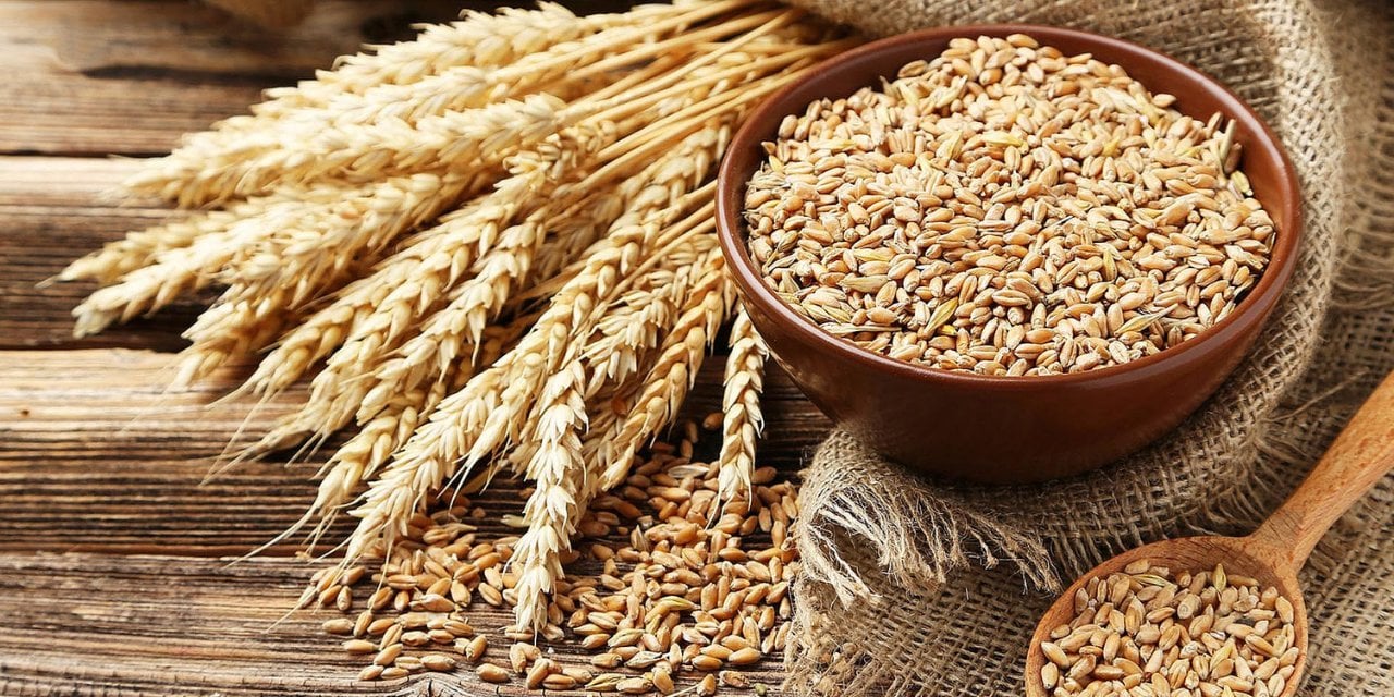 Çiftçiye Kara Haber: Buğdayın Fiyatı Belli Oldu!