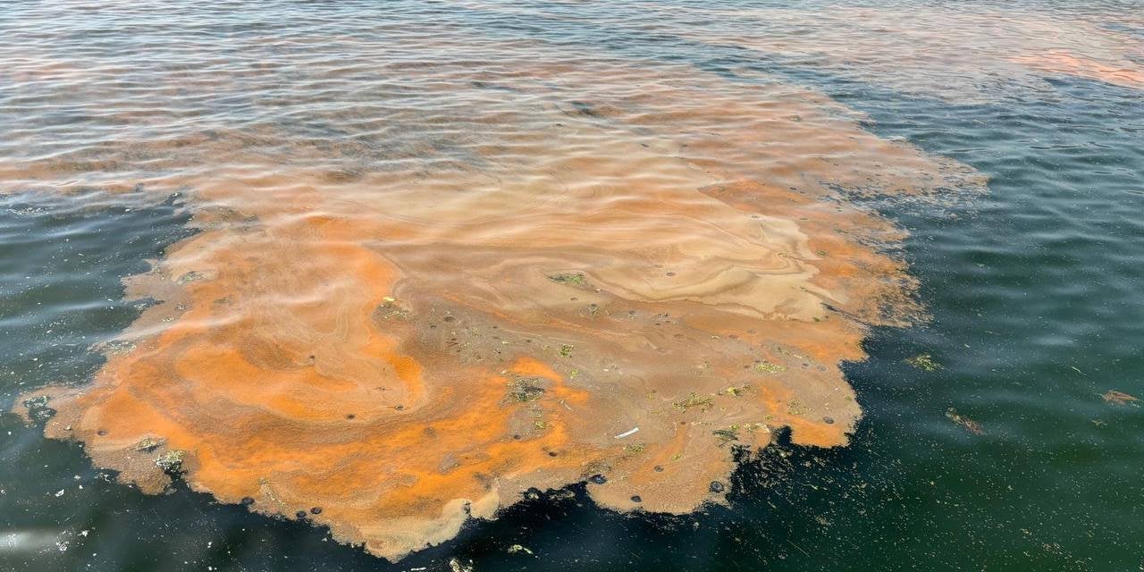 Marmara Denizi’nden Korkutan Görüntü