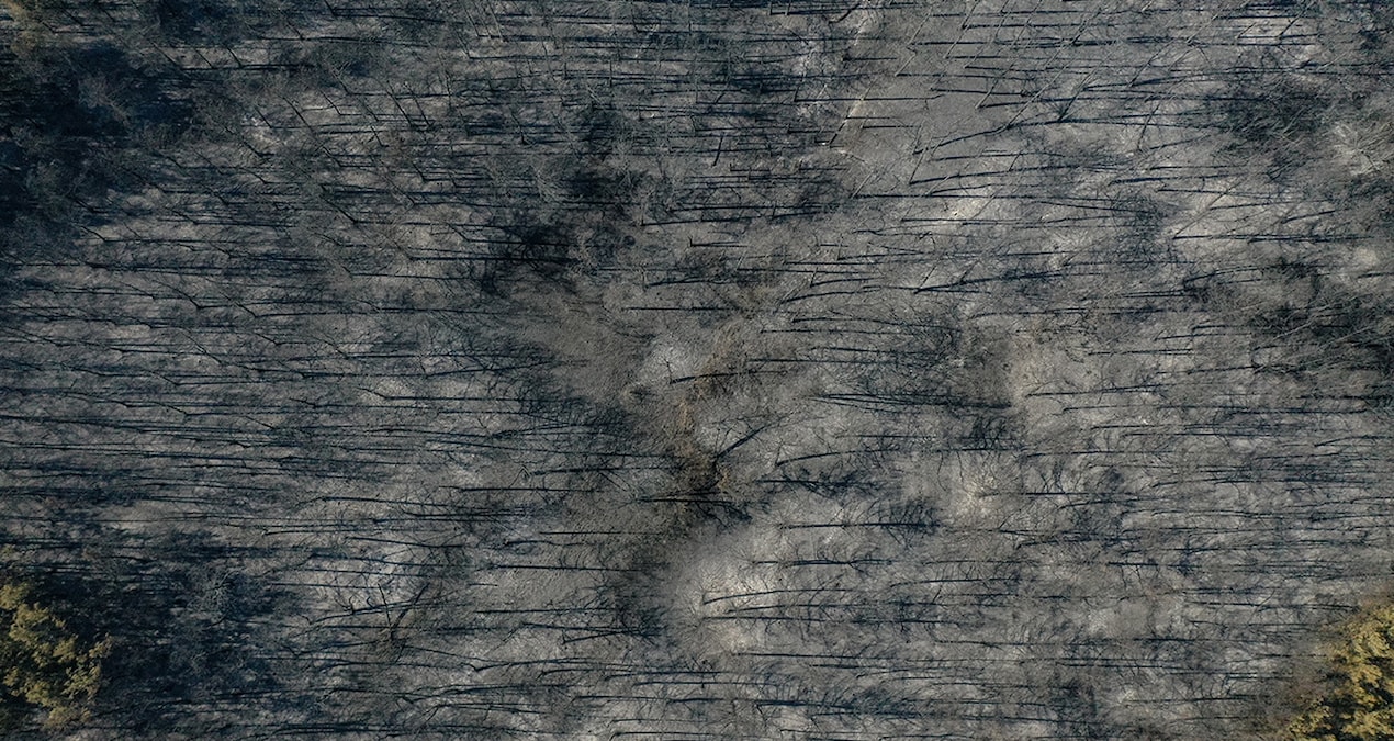 Görükle’deki yangında 700 dekar alan kül oldu