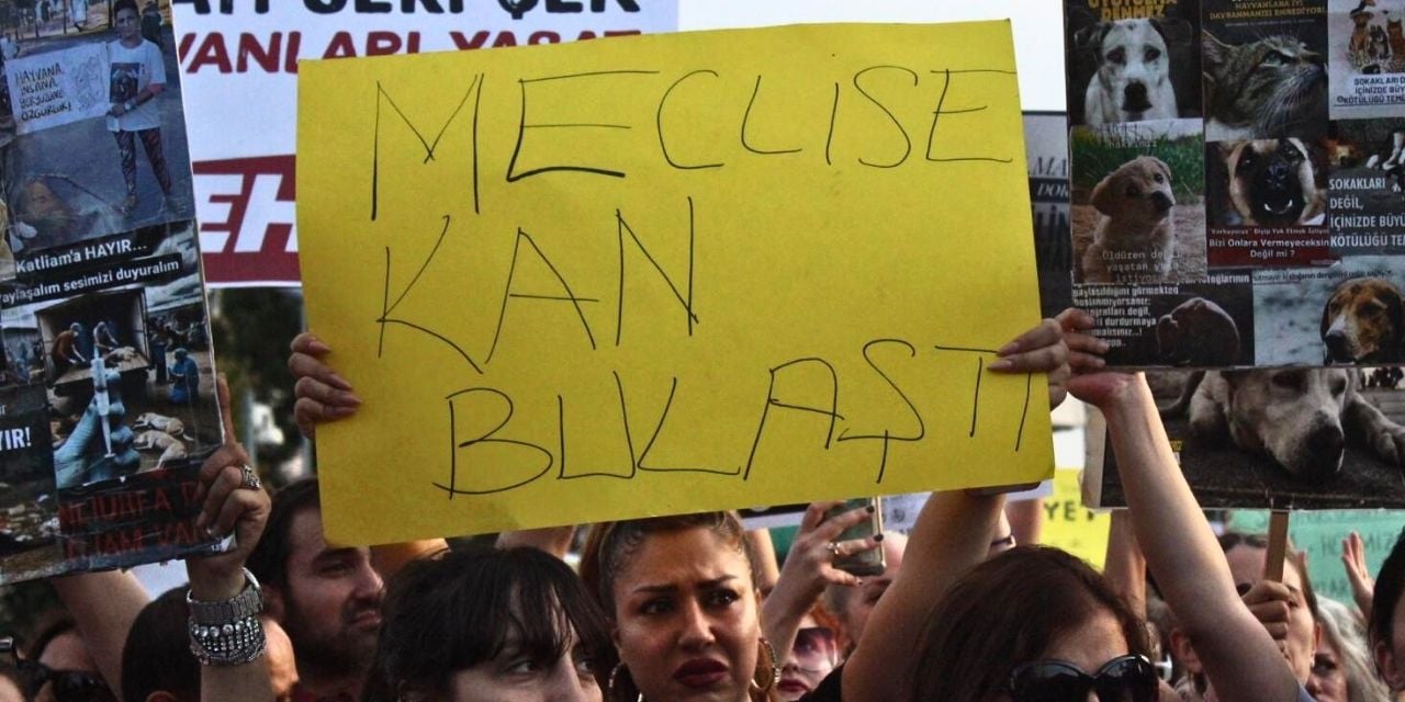 ‘Ötanazi’ maddesiyle birlikte toplam 5 madde kabul edildi