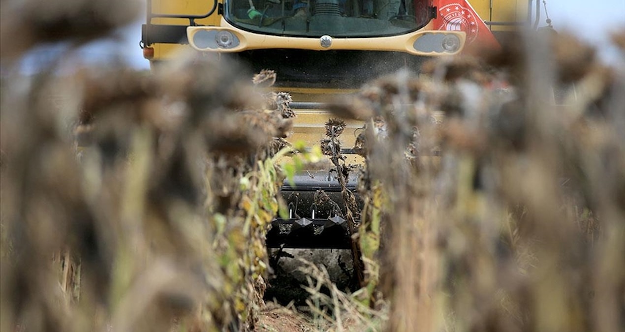 Çiftçiler kuraklıkla boğuşuyor