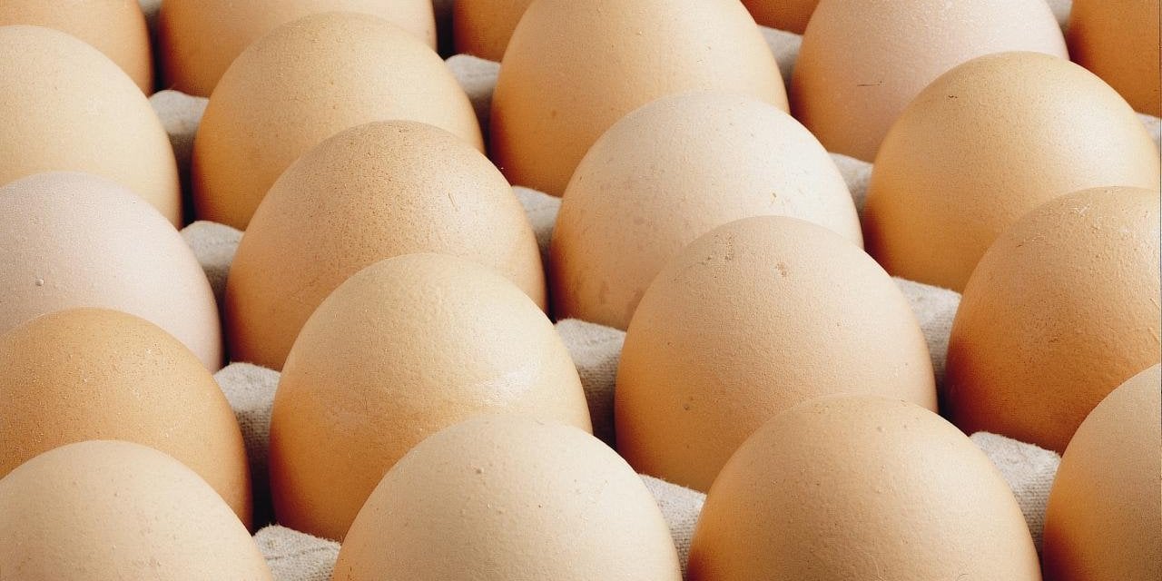 Dar gelirliye bir zam şoku daha