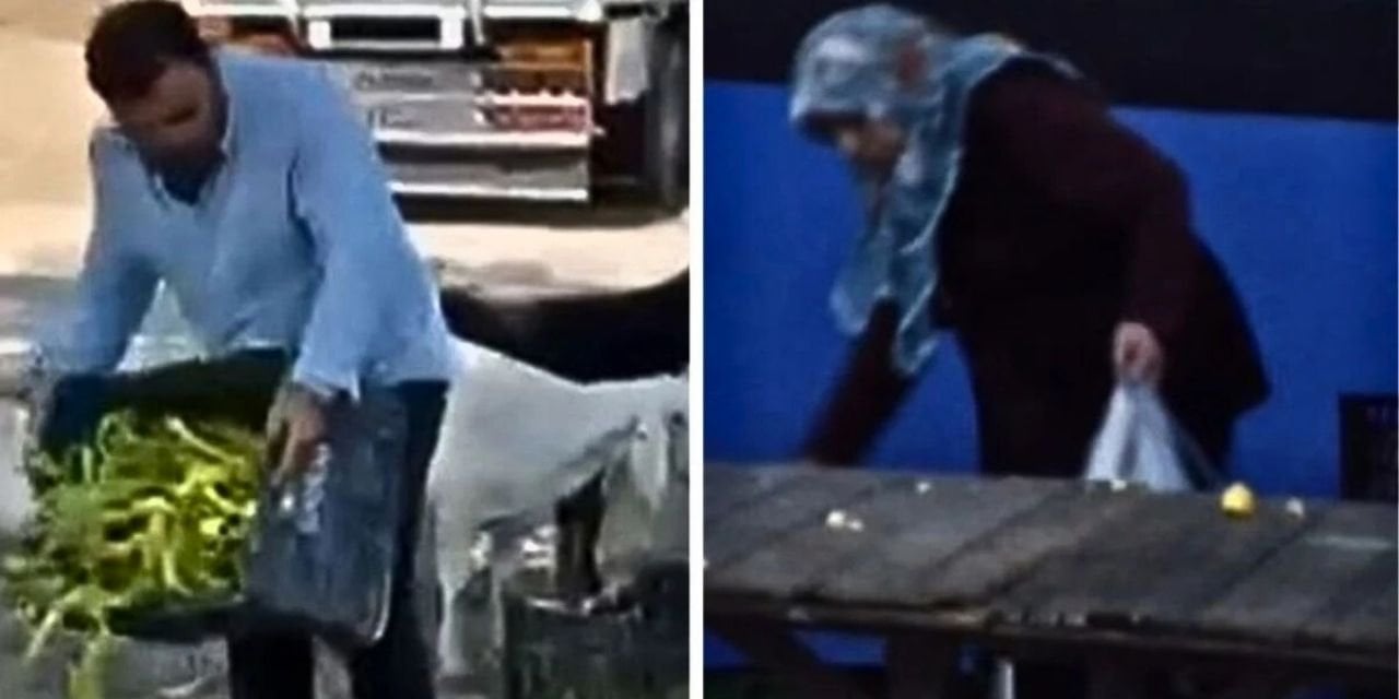 İşte AK Parti iktidarında memleketten insan manzaraları