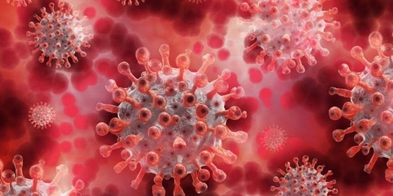 M çiçeği salgını büyüyor