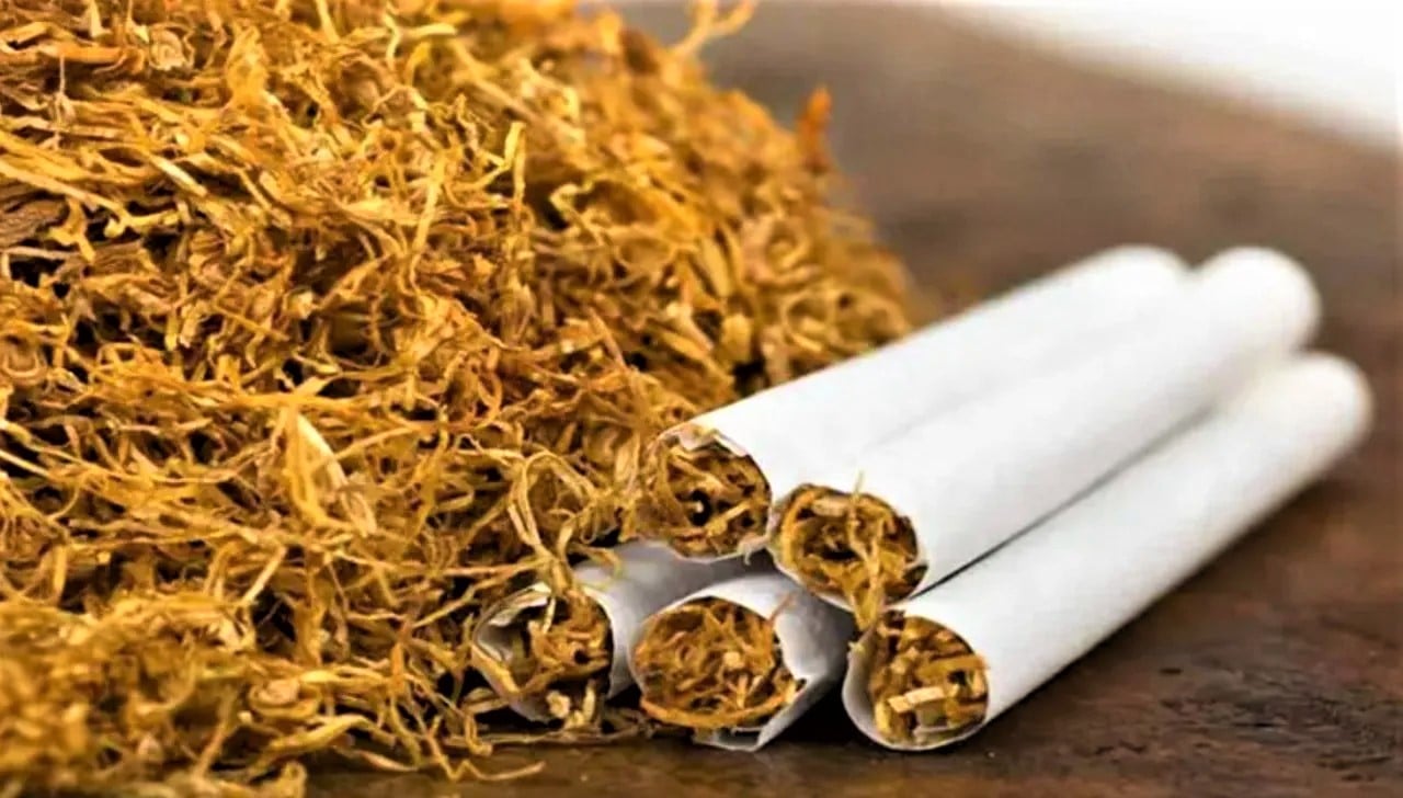 Tütün sektörüne şok!