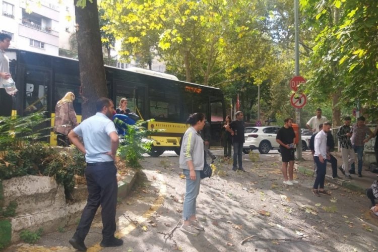 BELEDİYE OTOBÜSÜ AĞACA ÇARPTI:5 YARALI