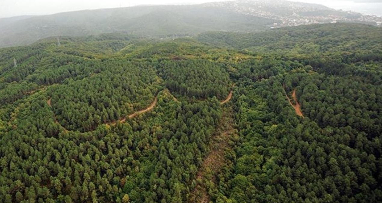 Ormanların turizm amaçlı kullanımı tartışma yarattı