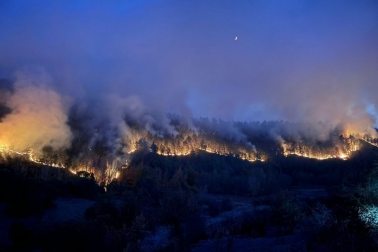 Dev yangınla ilgili Valilik açıklaması