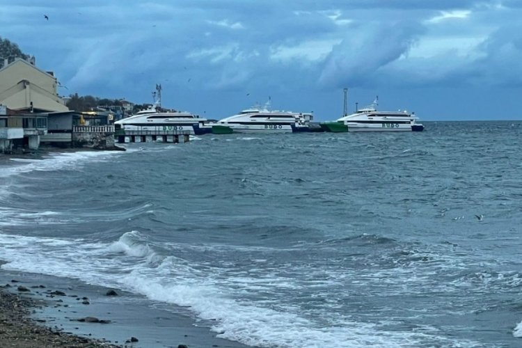 Budo seferleri iptal