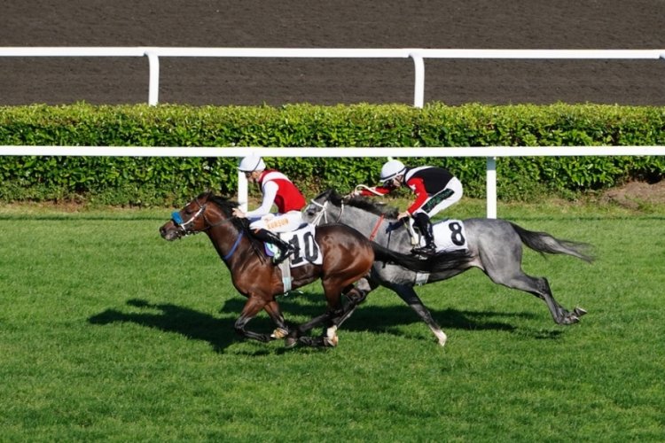 At yarışlarına var geliyor