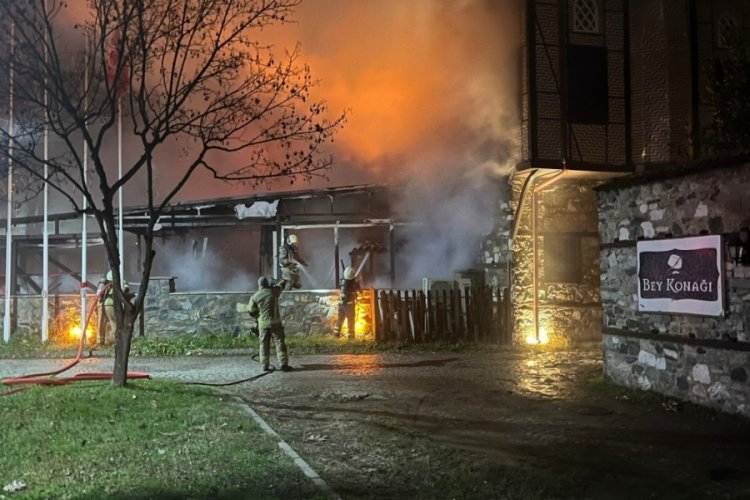 Botanik parktaki otel küle döndü