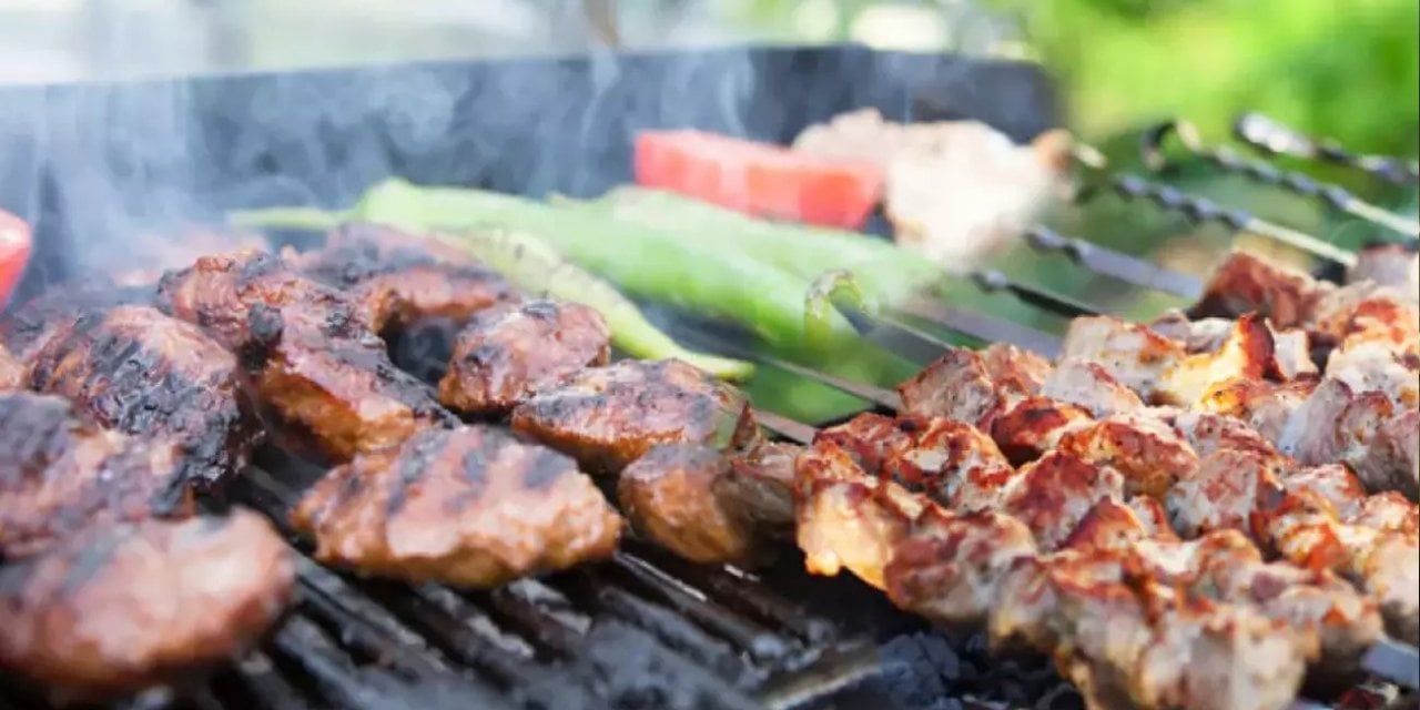 TBMM’ye başvuru: Mangal ve piknik 5 yıl yasaklansın