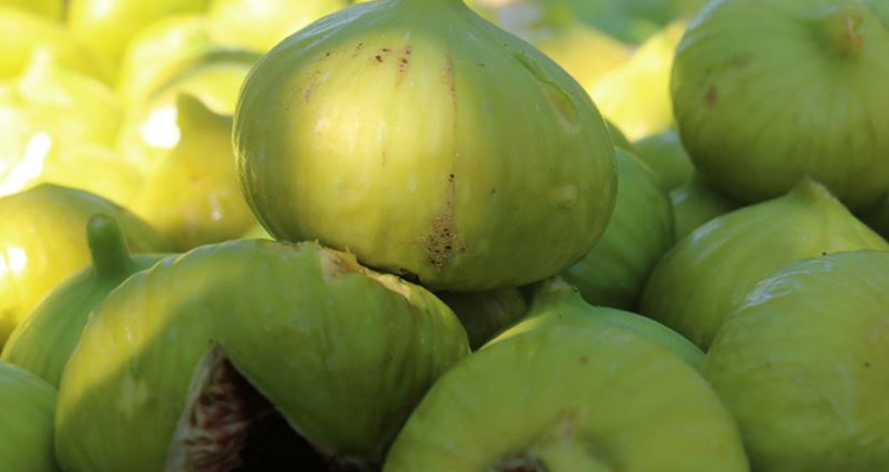 Türk malları yine AB kapılarından döndü