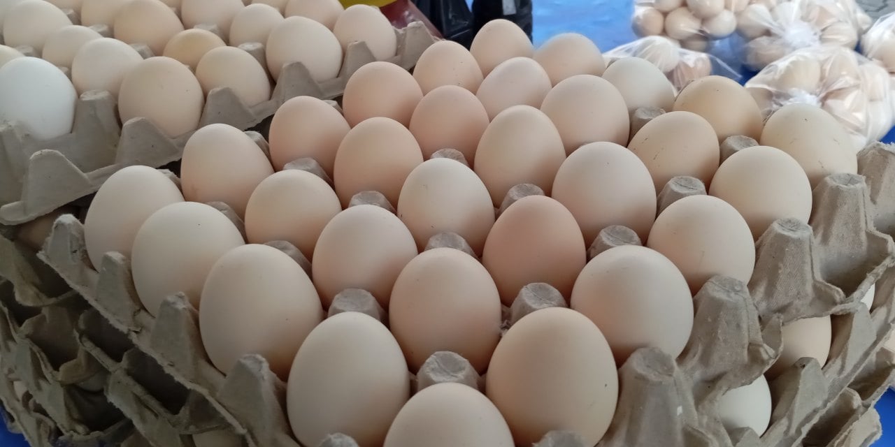 TÜİK verilerine göre Aralık 2024’te yumurta zirveyi kaptırmadı