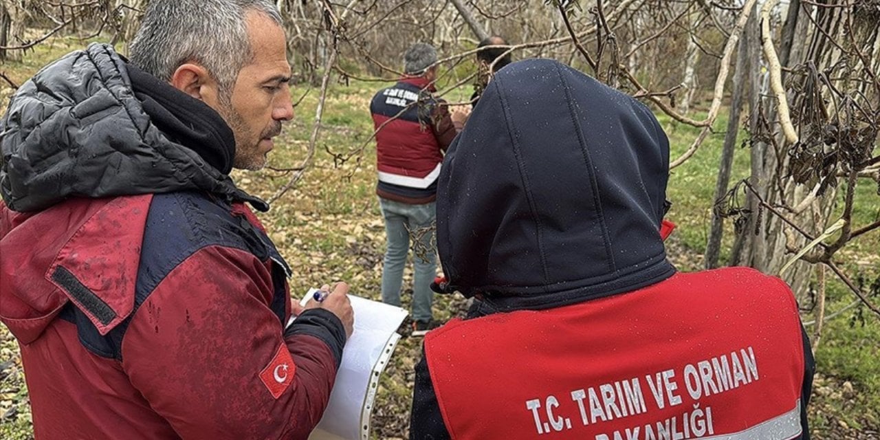 Bakan açıkladı: Çiftçilere zirai don yardımı!