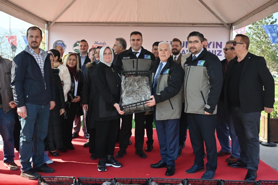 Büyükşehir’den çiftçiye 1 milyon 222 bin adet çilek fidesi
