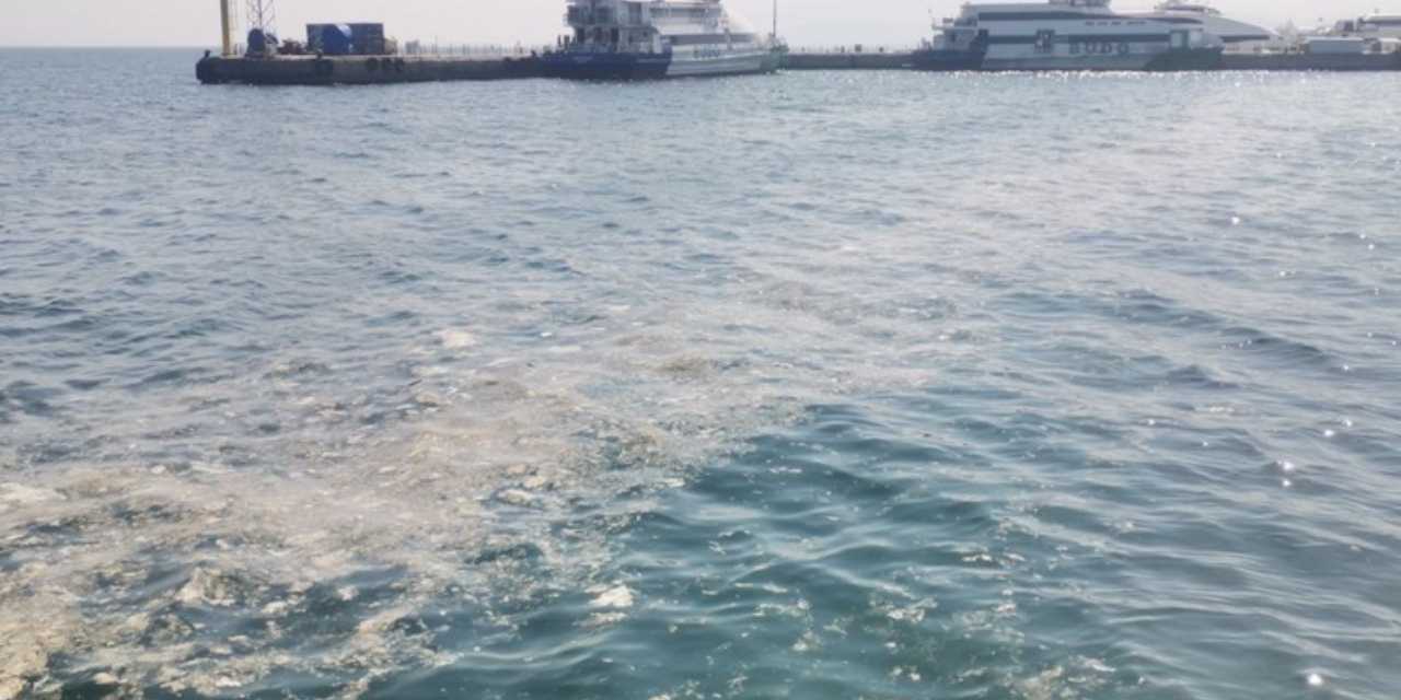 Marmara’da müsilaj yine gündemde!