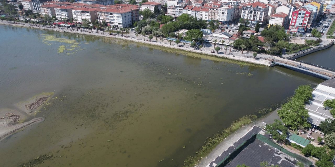Marmara Denizi’ne ne oluyor? Bu kez de yeşile döndü