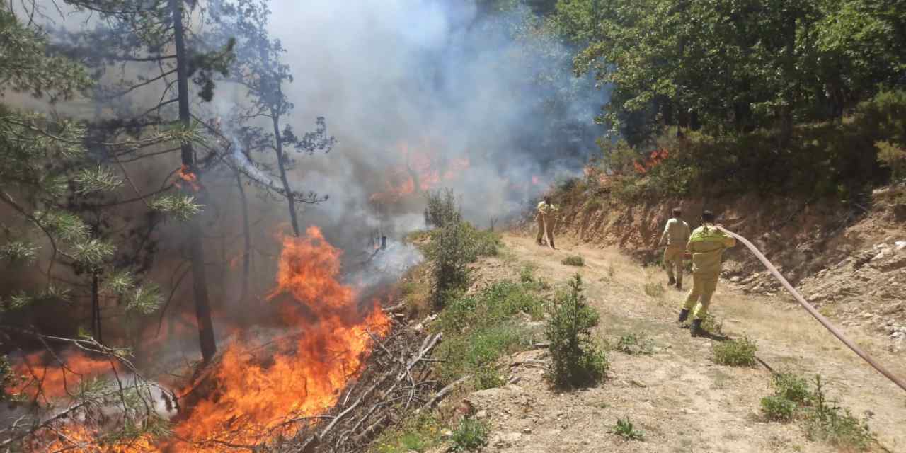 Bursa’da iki noktada orman yangını!