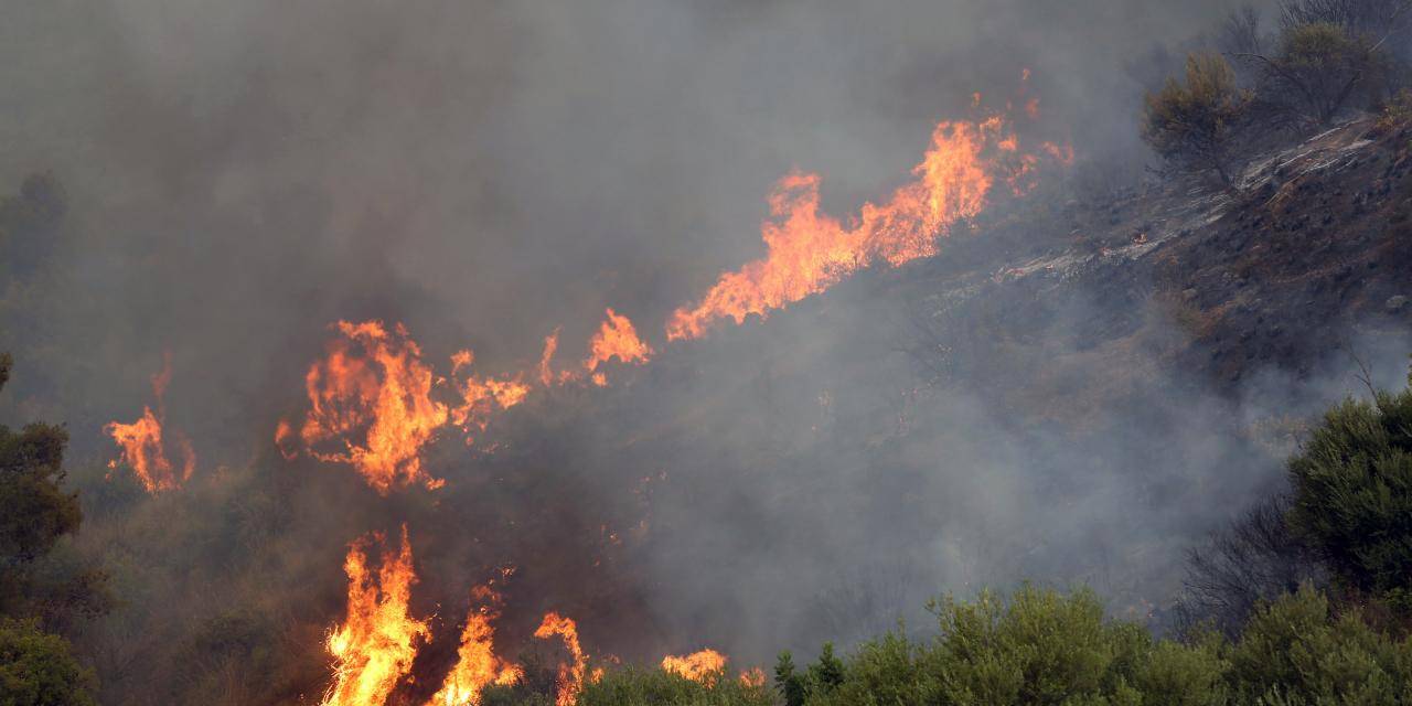 OGM’den ‘yüksek yangın riski’ uyarısı