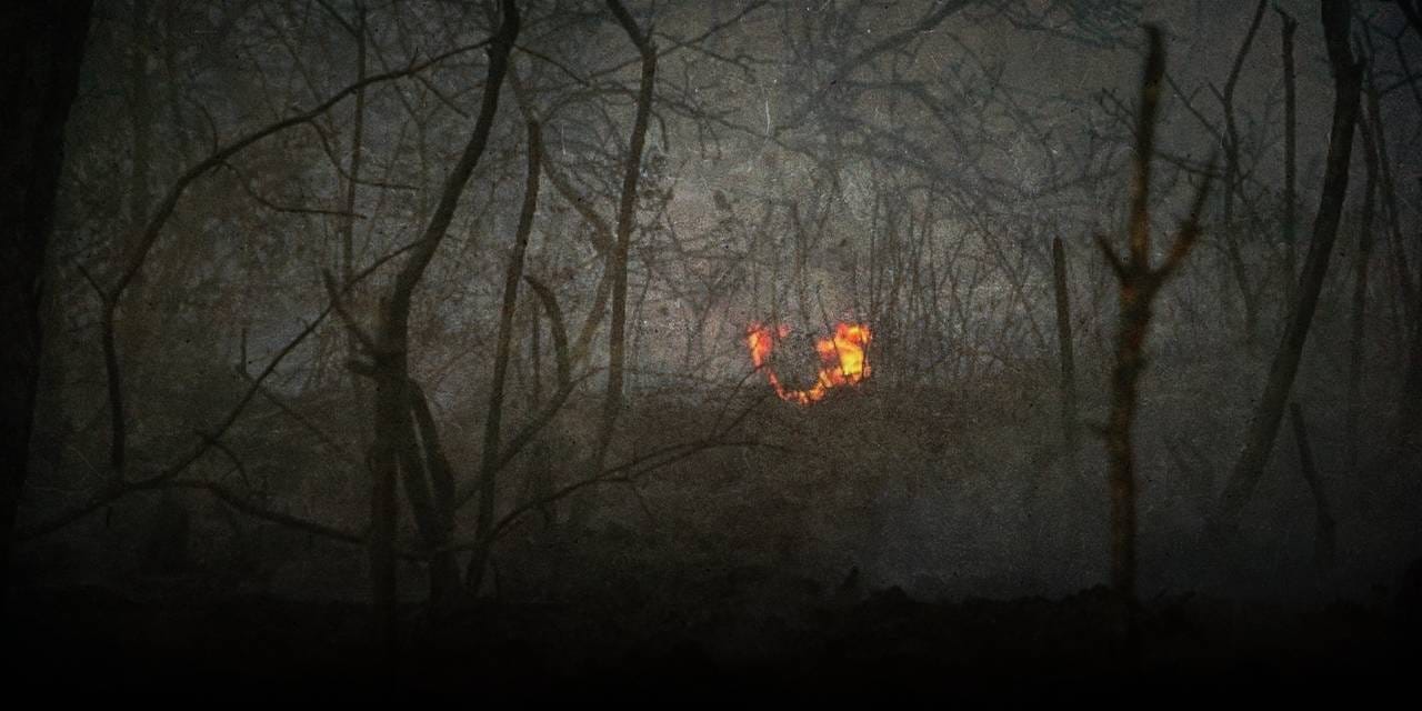 Yanan ormanlarda bunu yapmak artık yasak