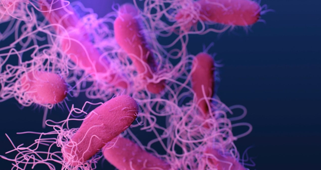 Çiğ ya da iyi pişirilmemiş hayvansal gıdalardan bulaşıyor