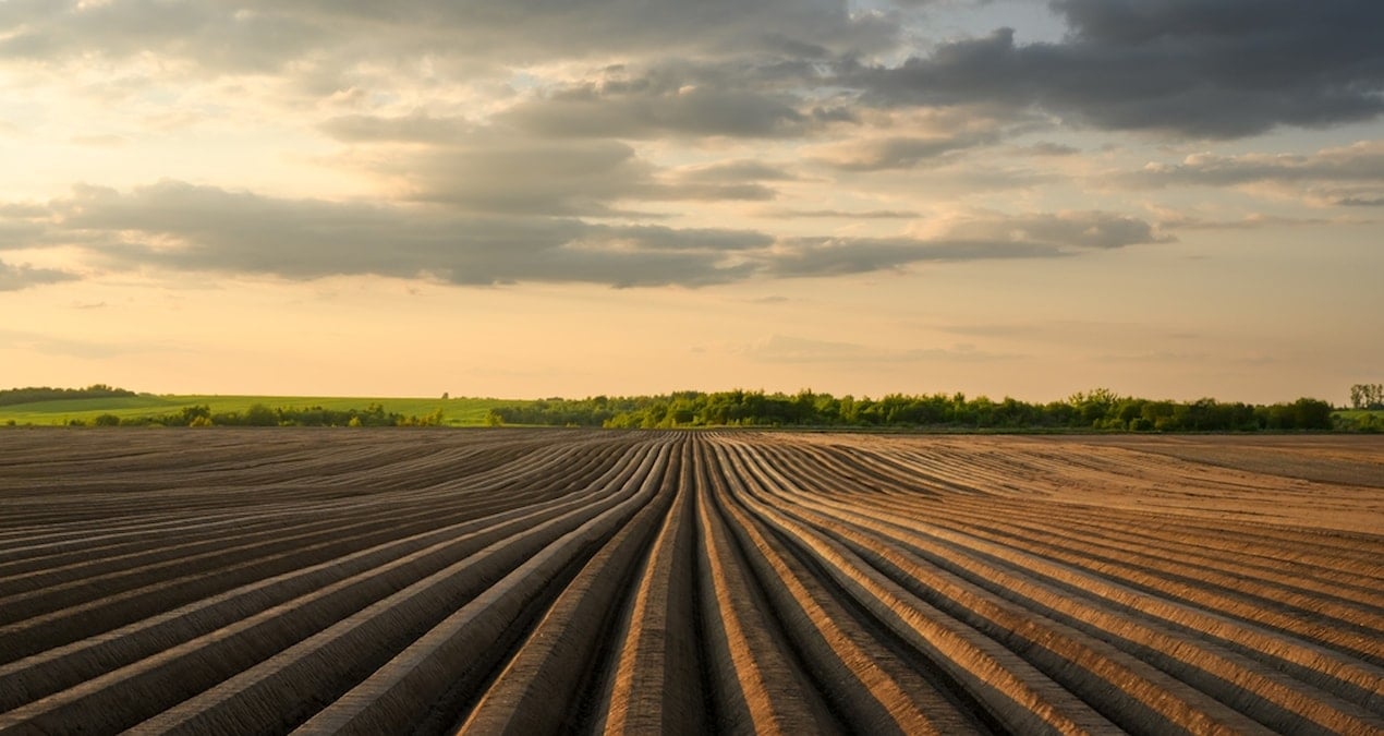 Devletten kiralık tarla dönemi başladı: Tek bir şartı var!