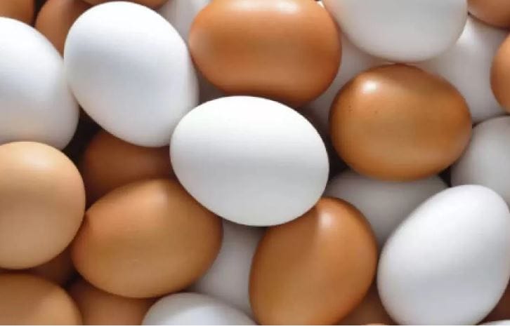 Okullar açıldı yumurtaya rekor zam geldi