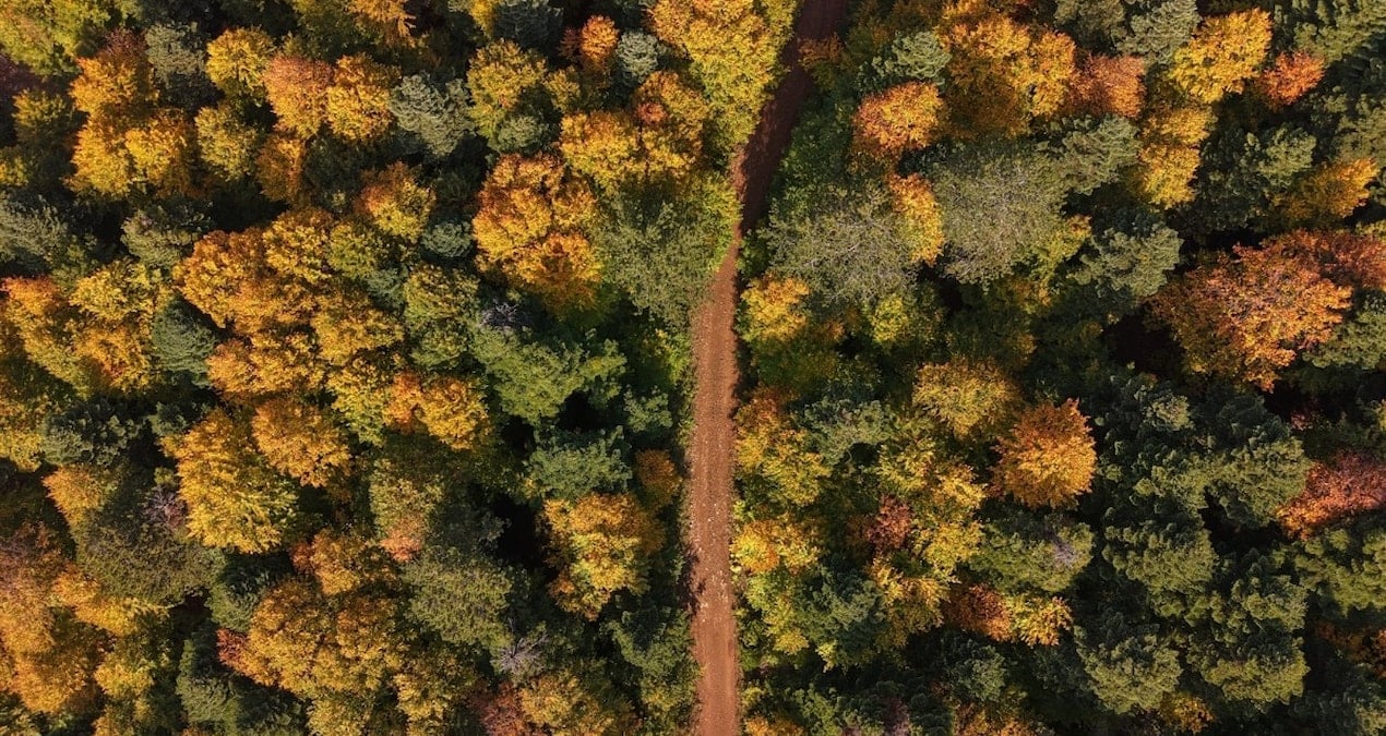 Uludağ’ın sonbahar güzelliği…