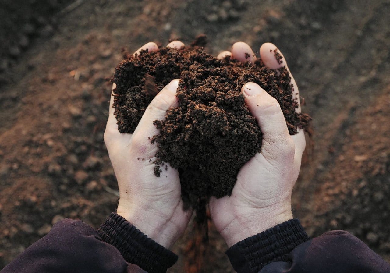 Savaş vurdu: Gübre fiyatları fırladı! Gıda krizi kapıda