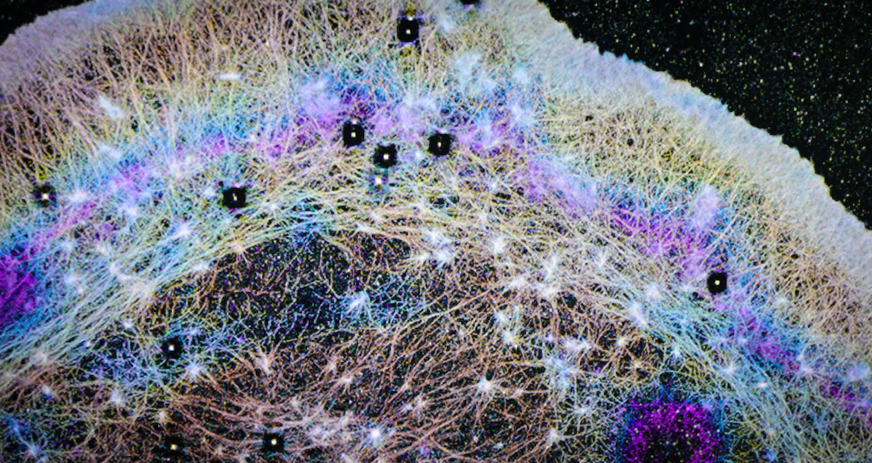 İnsan vücudunda şaşırtan keşif: Hücre içi rüzgar sistemi ortaya çıktı