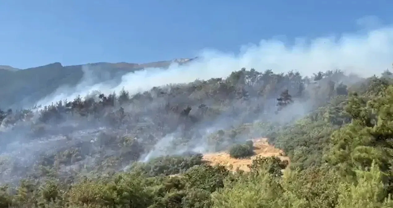 Bursa’da 3 farklı noktada orman yangını