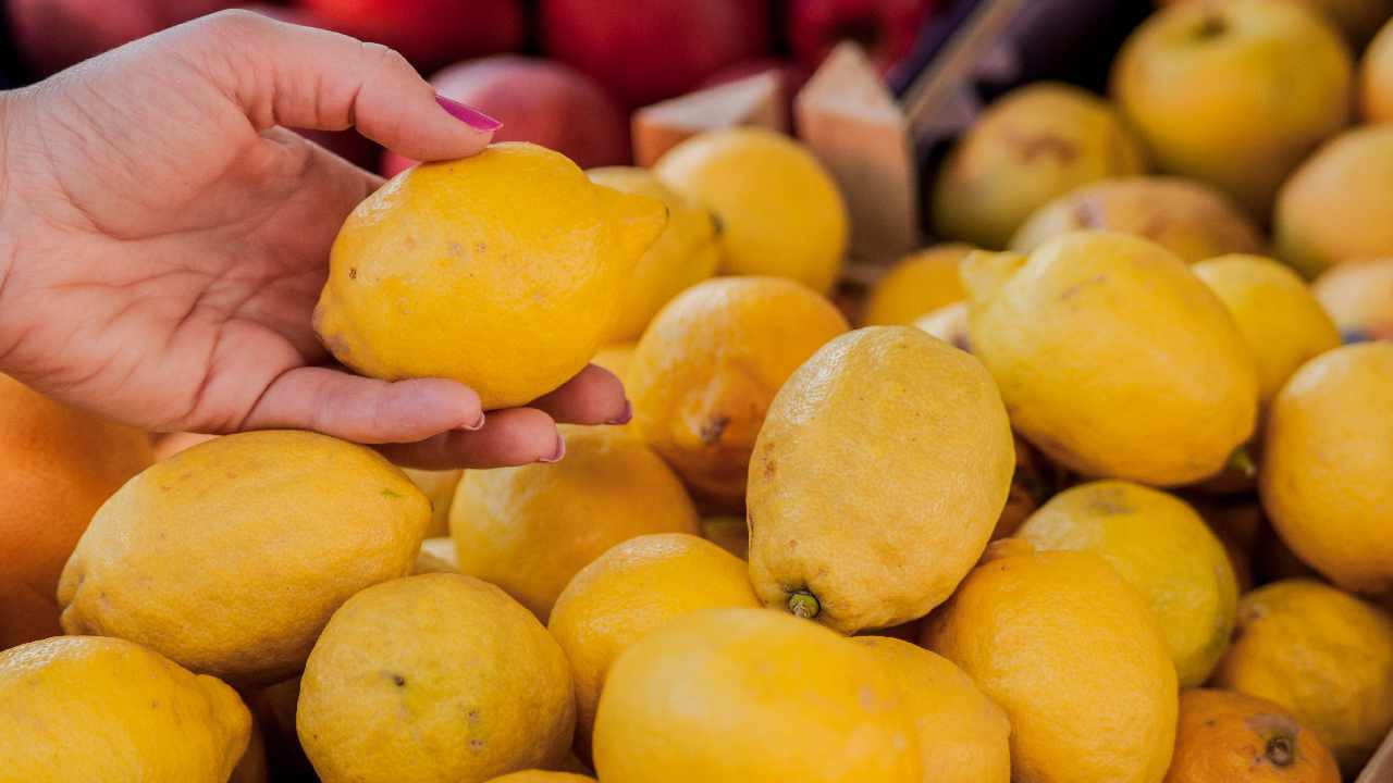 Tarladan 7 liraya alınıyor, markette 51 liraya satılıyor